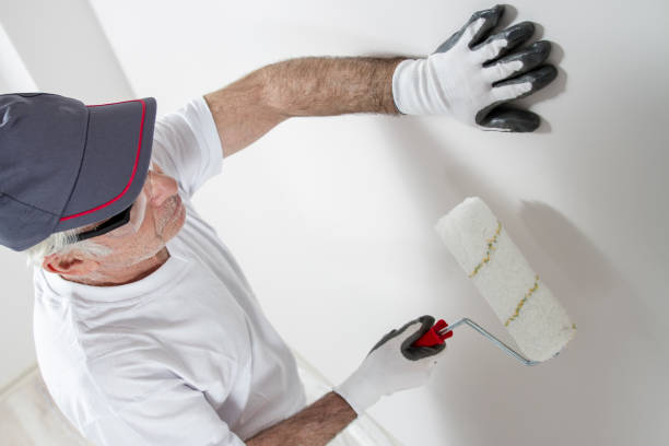 Best Water Damage & Mold Remediation  in Carey, ID