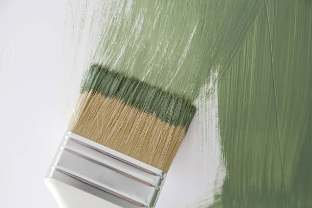 Reliable Carey, ID Mold Removal Solutions