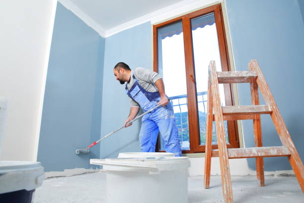 Best Attic Mold Removal  in Carey, ID