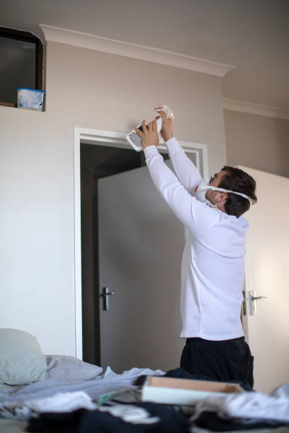 Asbestos and Lead Testing During Mold Inspection in Carey, ID