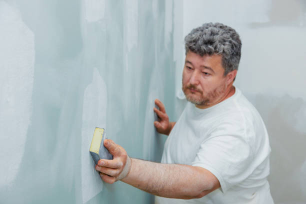 Best Residential Mold Inspection & Testing  in Carey, ID