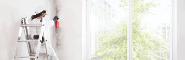 Mold Removal for HVAC Installations in Carey, ID
