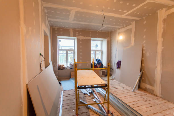 Best Asbestos and Lead Testing During Mold Inspection  in Carey, ID