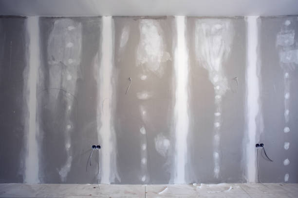 Best Airborne Mold Testing  in Carey, ID